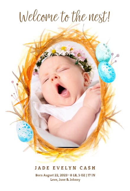Baby Nest - Birth Announcement Card