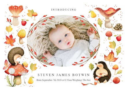 Hedgehog - Birth Announcement Card