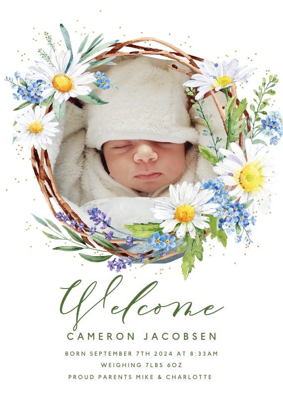Rustic daisies - birth announcement card
