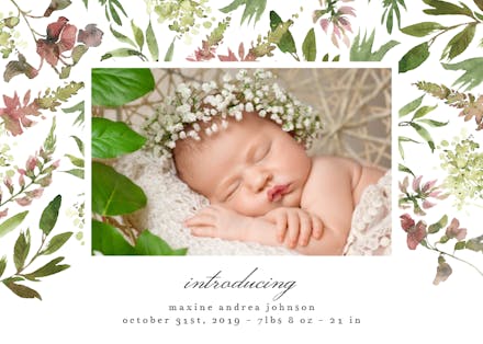 Wild Flower - Birth Announcement Card