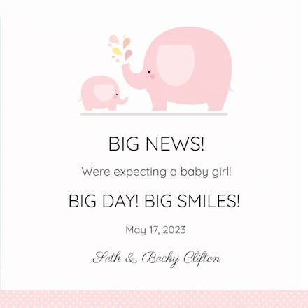 Big News Girl - Pregnancy Announcement