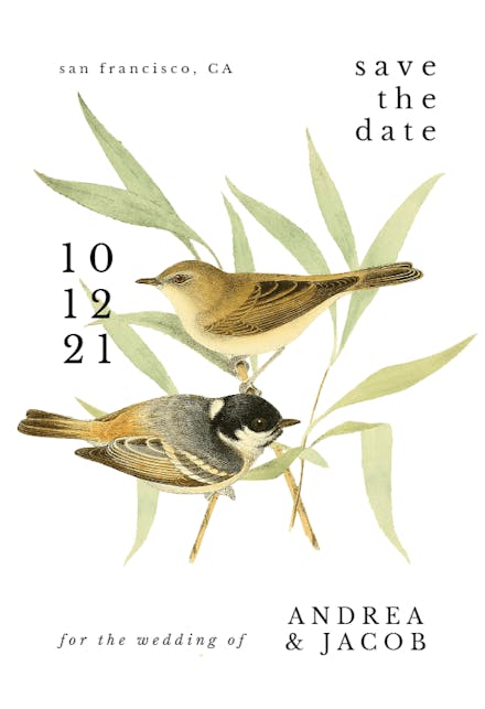 Birds In Love - Save the Date Card