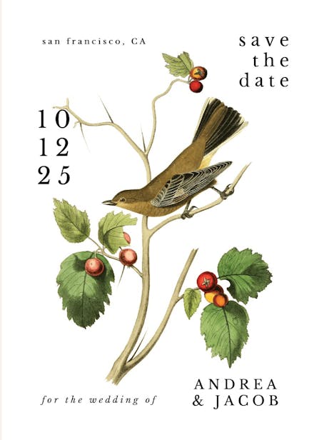 Birds in love - save the date card