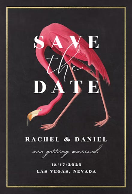 Flamingo Love - Save the Date Card