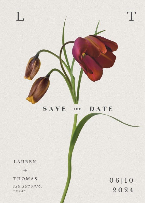 Tulips in bloom - save the date card