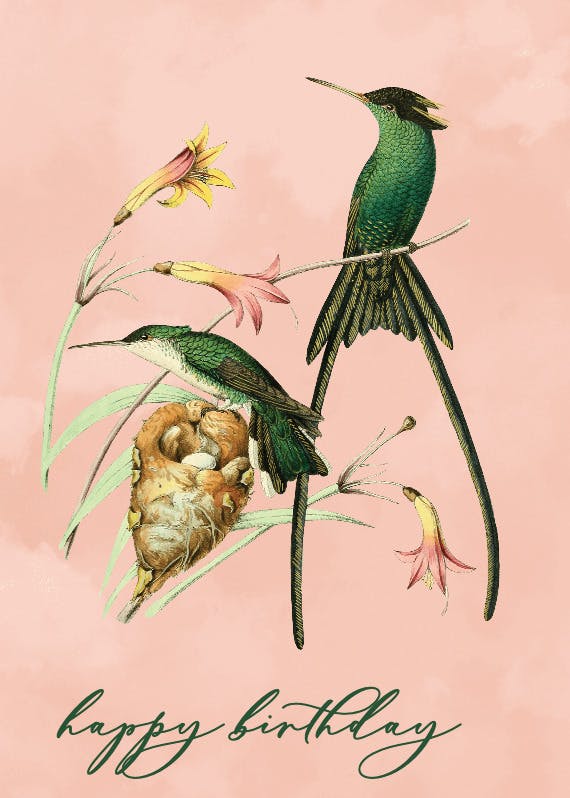 Birds - happy birthday card