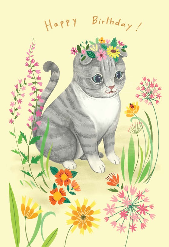 Cat garden - happy birthday card