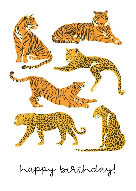 Cat safari - happy birthday card