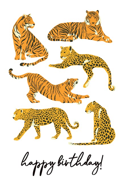 Cat Safari - Tarjeta De Cumpleaños