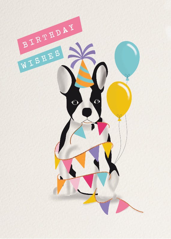 Colorful pawty -  tarjeta de cumpleaños