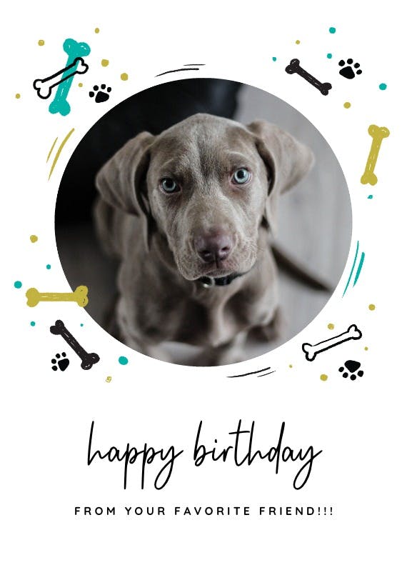 Favorite dog friend -  tarjeta de cumpleaños gratis