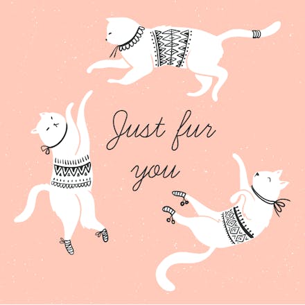 Feline Fun - Birthday Card