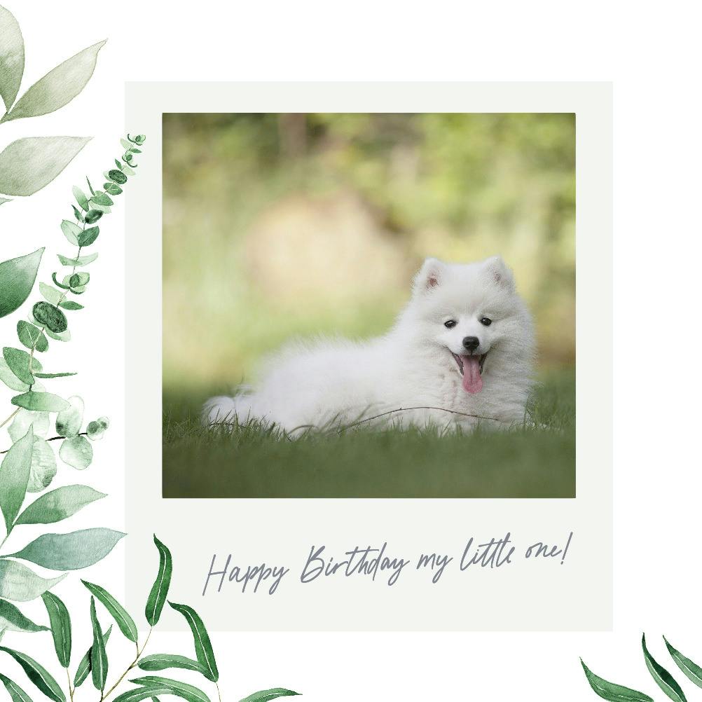 Greenery polaroid frame - happy birthday card