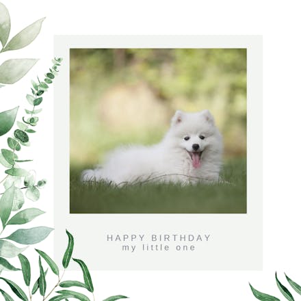 Greenery Polaroid Frame - Birthday Card