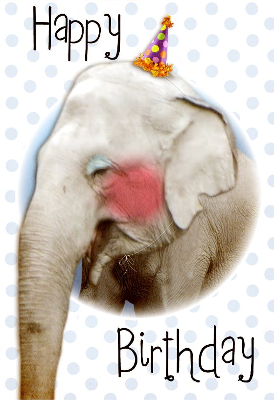 Cute elephant - happy birthday card