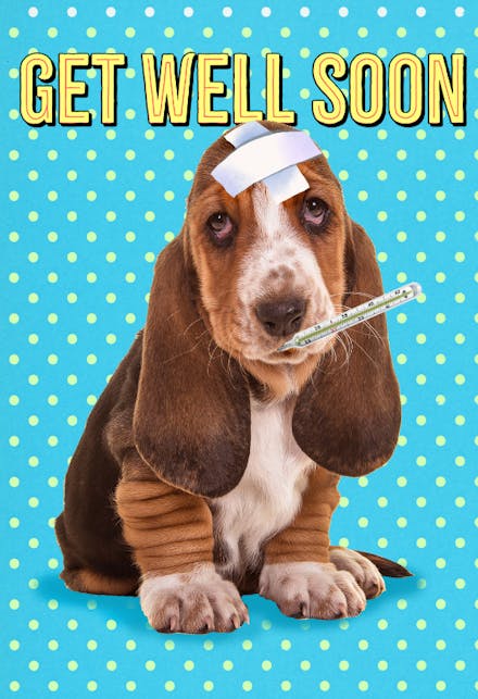 free-printable-dog-get-well-cards