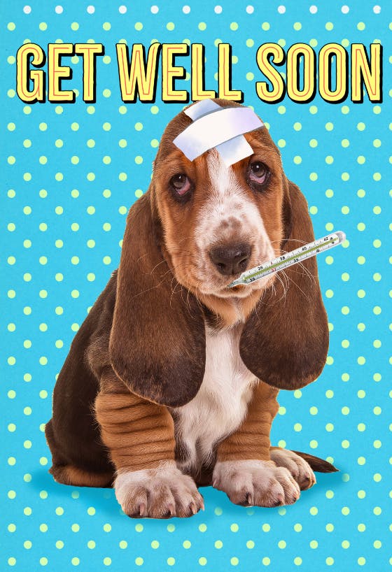 Hush puppy - get well soon card