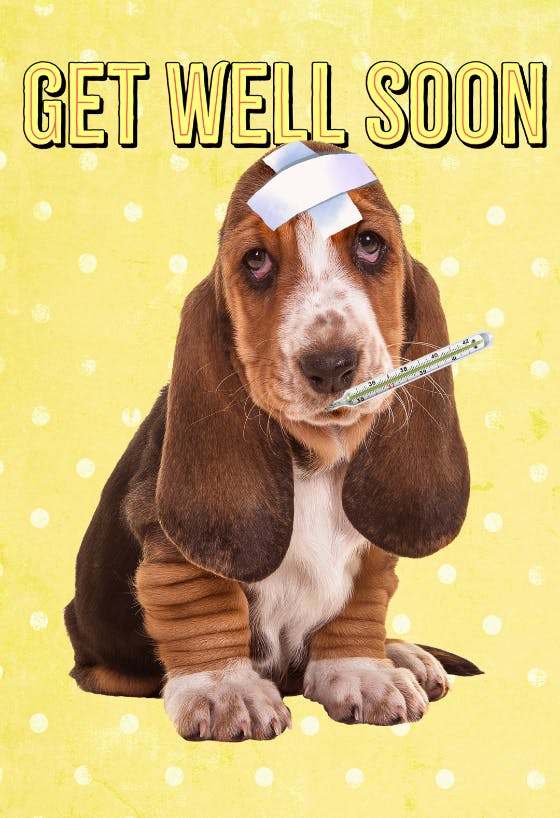 Hush puppy - get well soon card