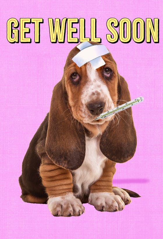 Hush puppy -  tarjeta de recupérate pronto