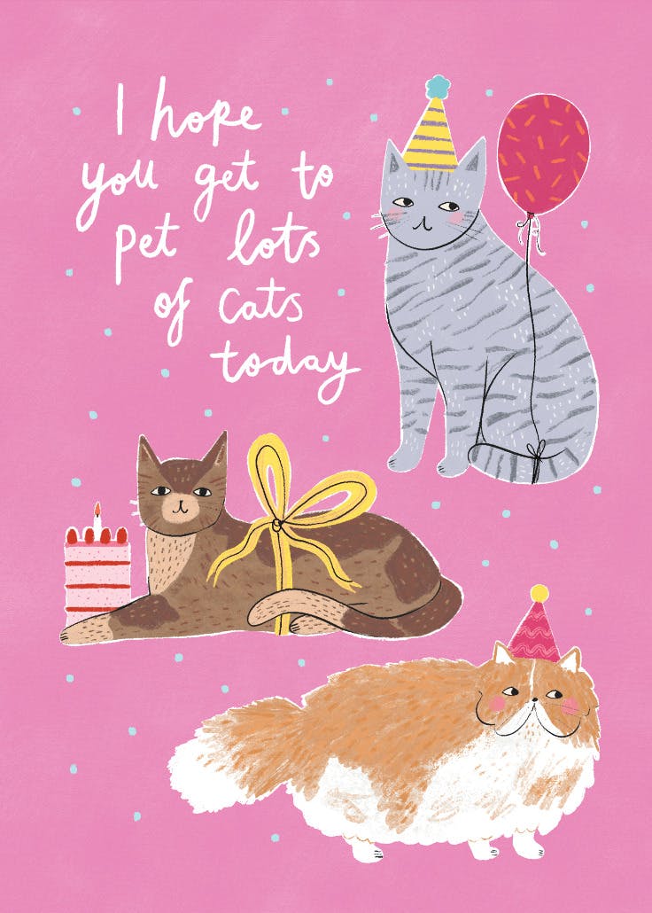 Pet a cat party - happy birthday card