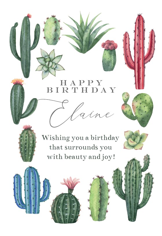 Prickly birthday wishes - happy birthday card