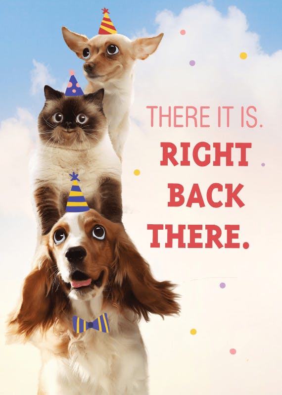 Stacked pets - happy birthday card