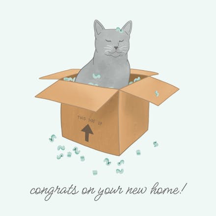New home cat - new home card