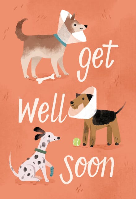 Pet Get Well Card | Get Well Soon Pets Pop-Up Card | Lovepop