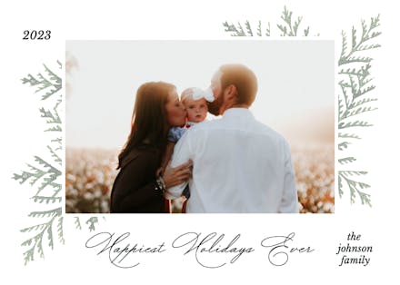 Blue Pine And Berries - Christmas Card