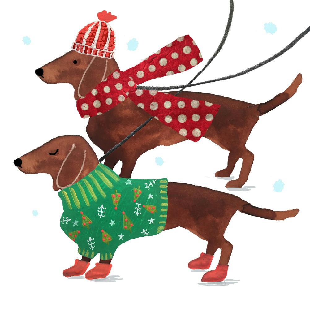 Dogs in sweaters - christmas card