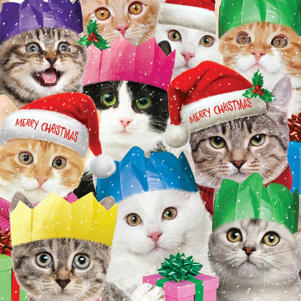 Funny cats -  tarjeta de navidad