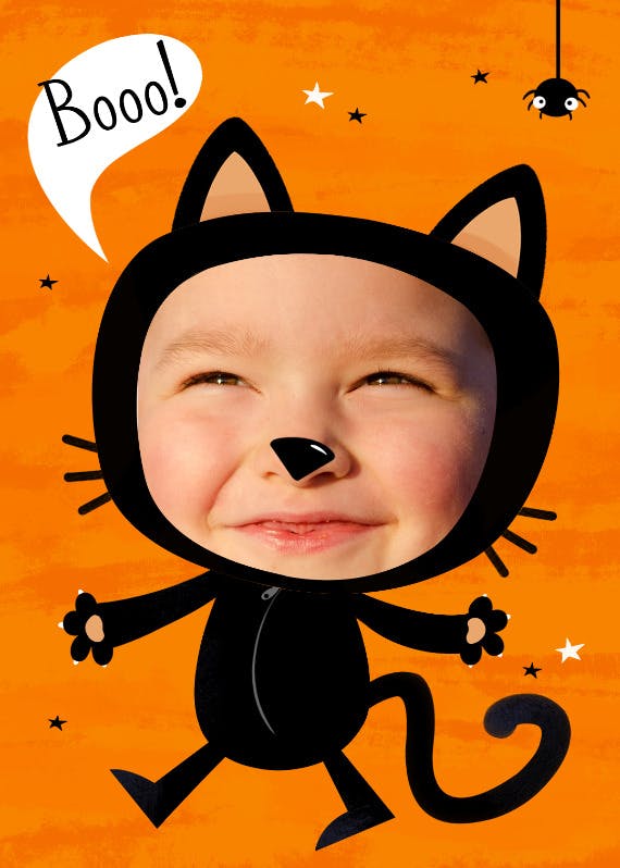 Cats meow -  tarjeta de día festivo