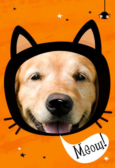 Meow - Halloween Card
