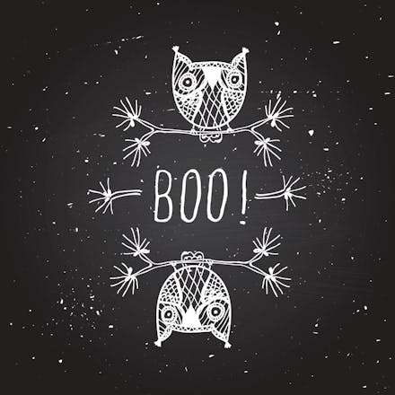 Whooo Done It - Halloween Card