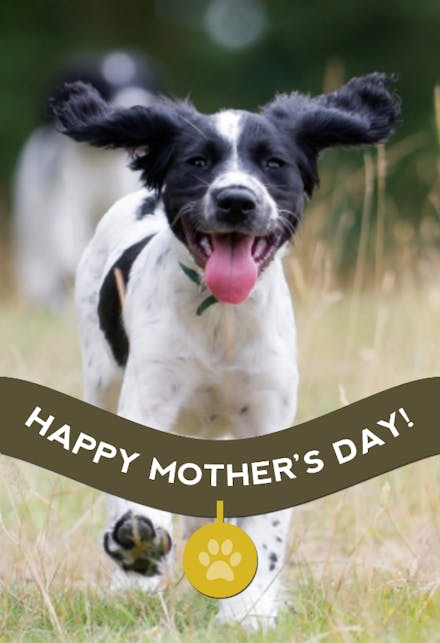 Dog Mothers Day Card Mother's Day Card From the Dog, Dog Mom Card