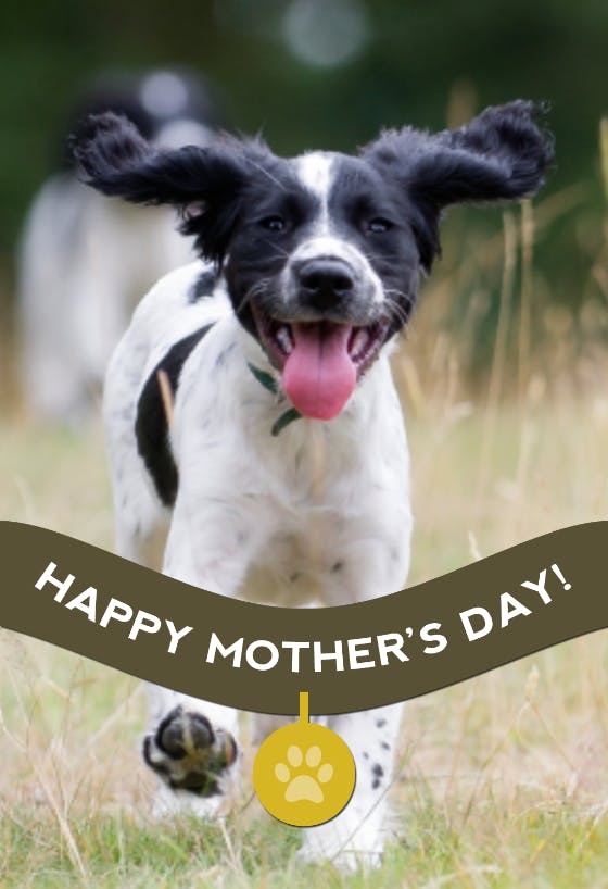 The best mommy at the dog park - mother's day card
