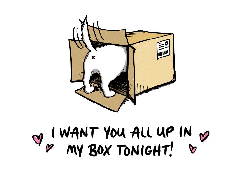 Dog box -  tarjeta de amor