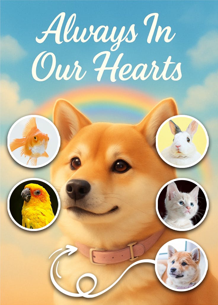 Always in our hearts - loss of pet card