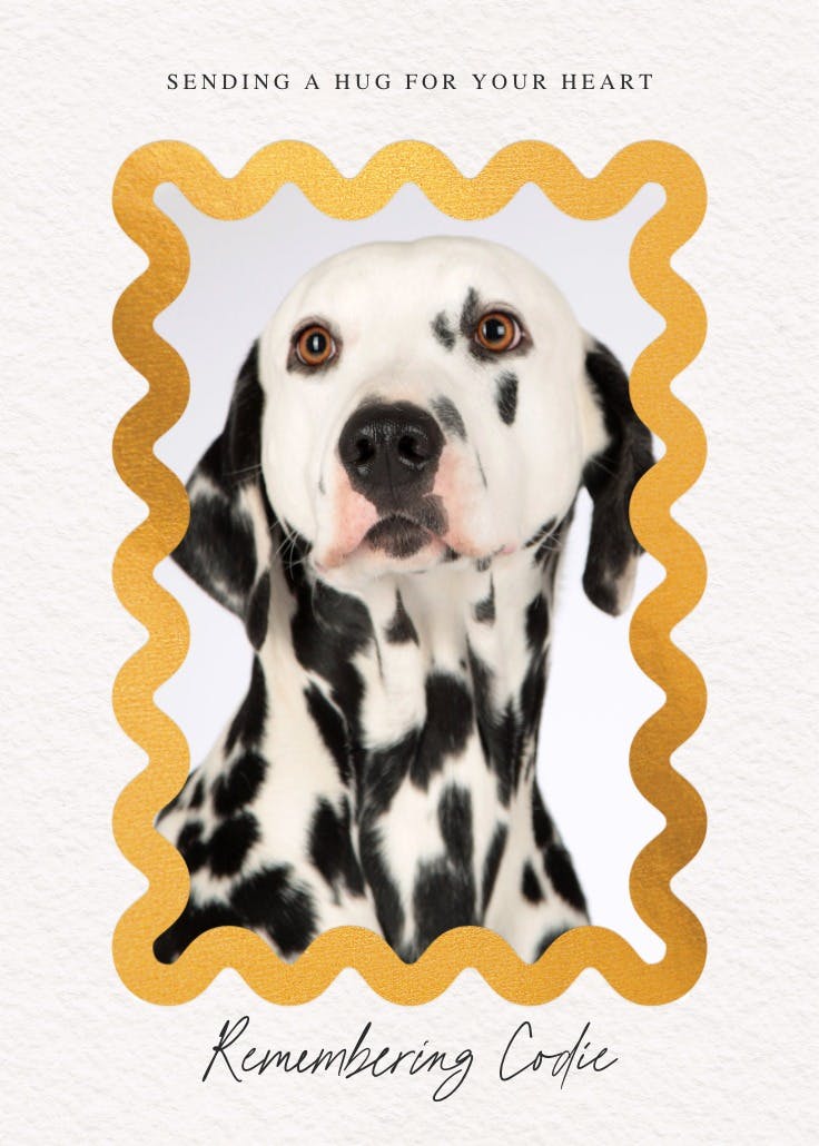 Billowing border frame - loss of pet card