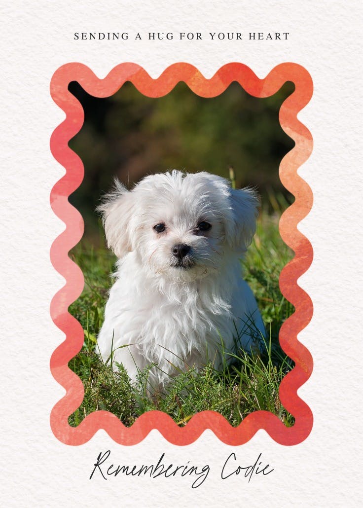 Billowing border frame - loss of pet card