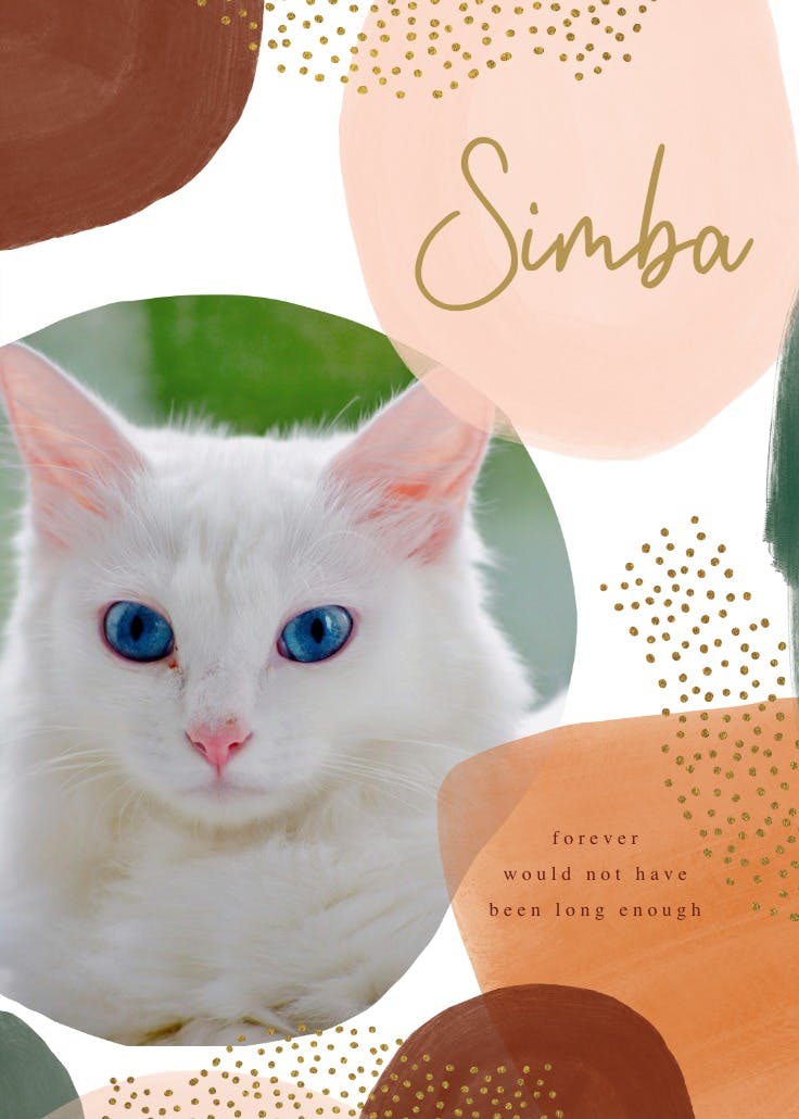 Boho shapes - loss of pet card