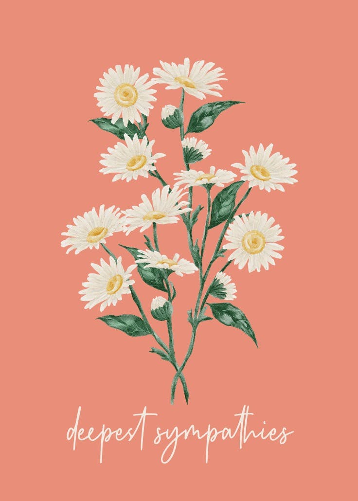 Bouquet of daisies - tarjeta de condolencias