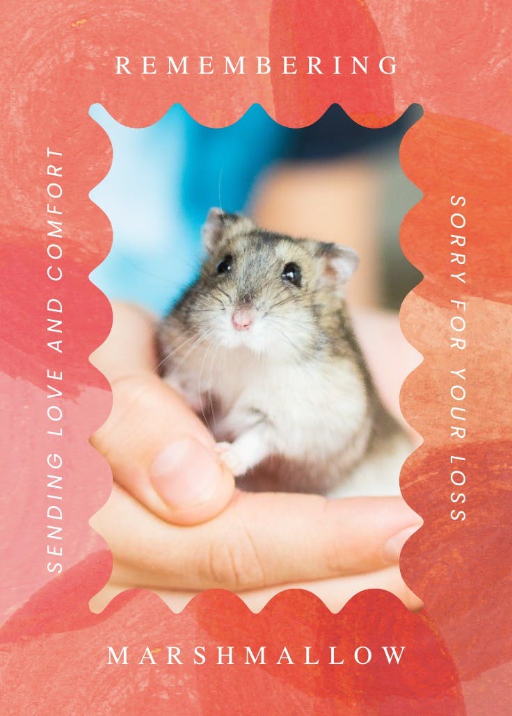 Crazy abstracts - loss of pet card