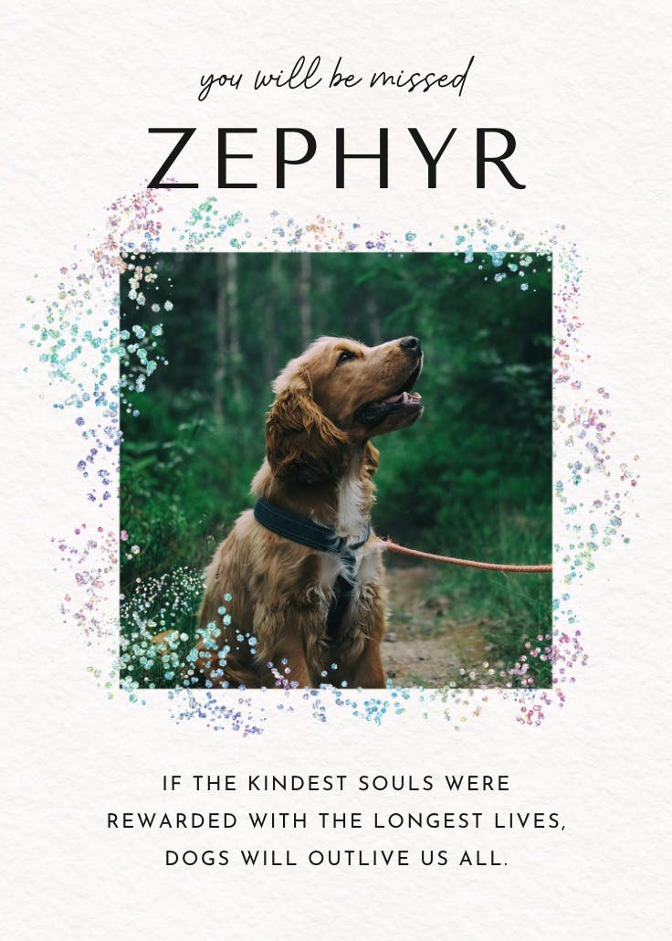 Decadent glitz photo - loss of pet card