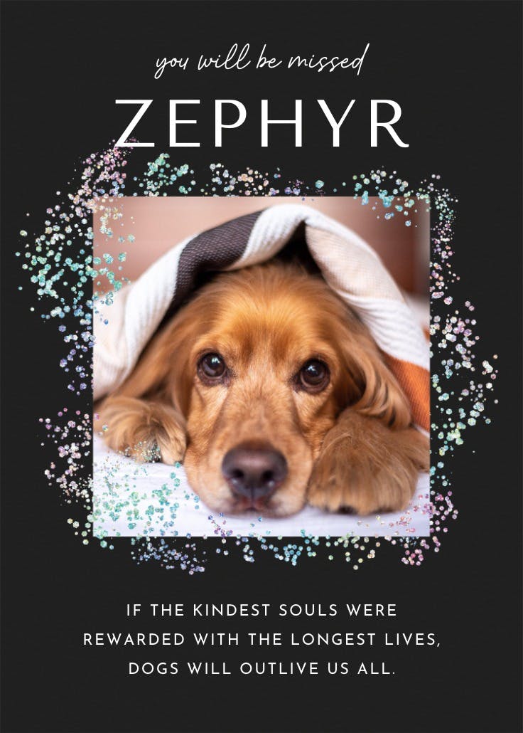 Decadent glitz photo - loss of pet card