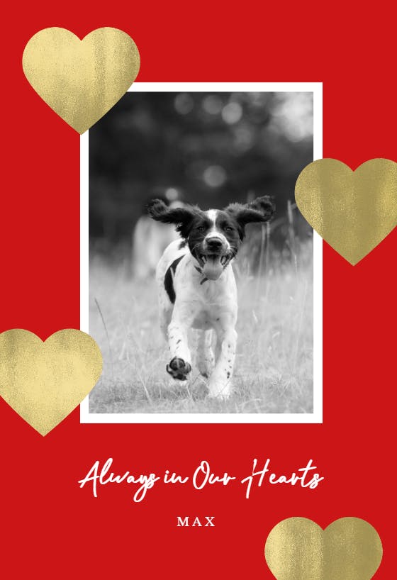 Glitter hearts -  free loss of pet card