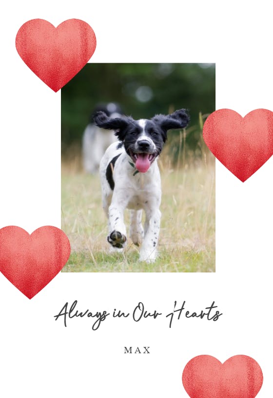 Glitter hearts -  tarjeta de pérdida de una mascota
