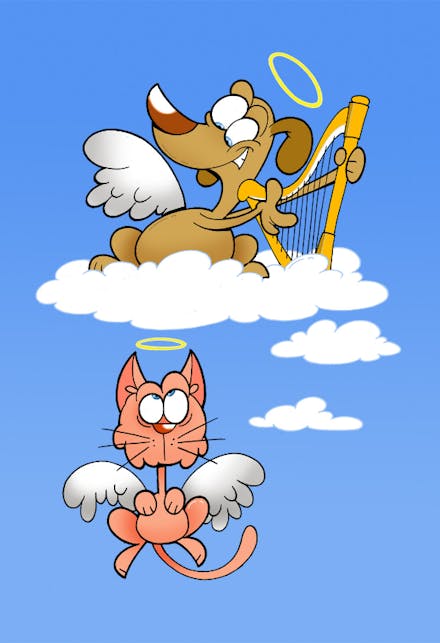 Heaven - Sympathy & Condolences Card