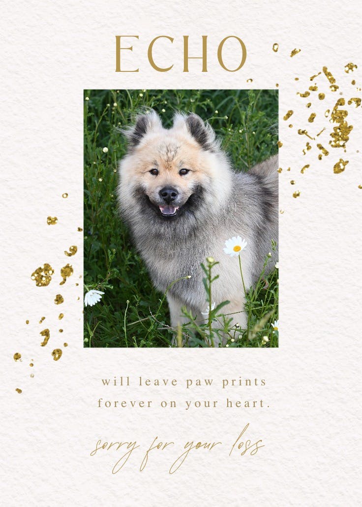 It's my loving pet - loss of pet card