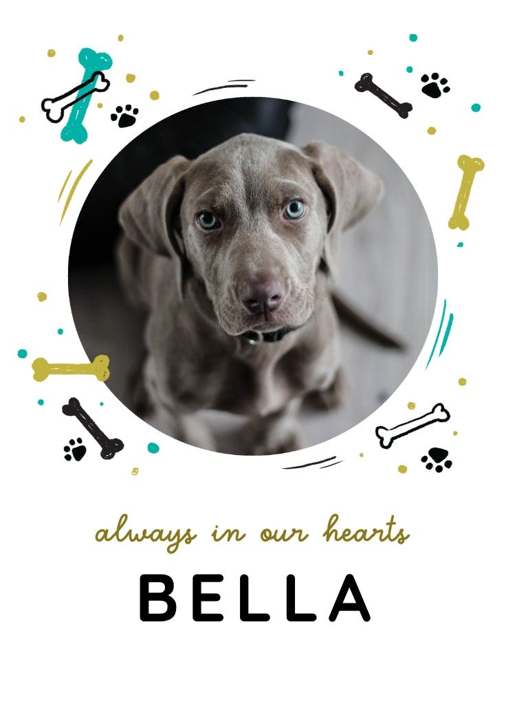 Beloved pet - loss of pet card